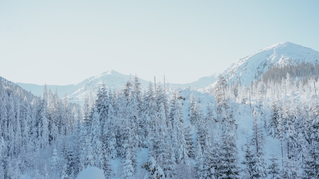 Photo Extreme skiing