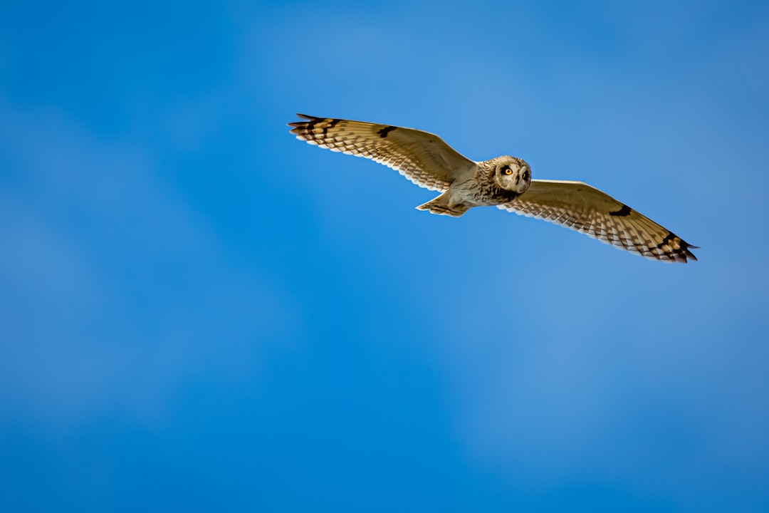 Photo Flight tracking